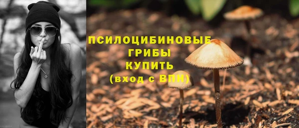 mix Козловка