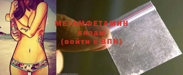 прущие грибы Кодинск
