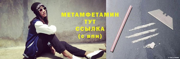 индика Козельск