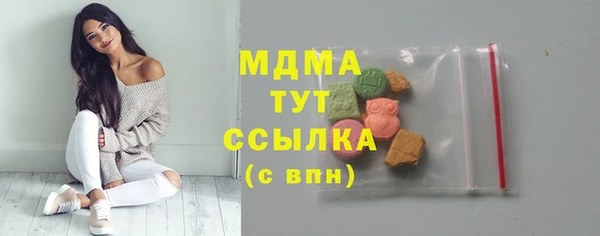 индика Козельск