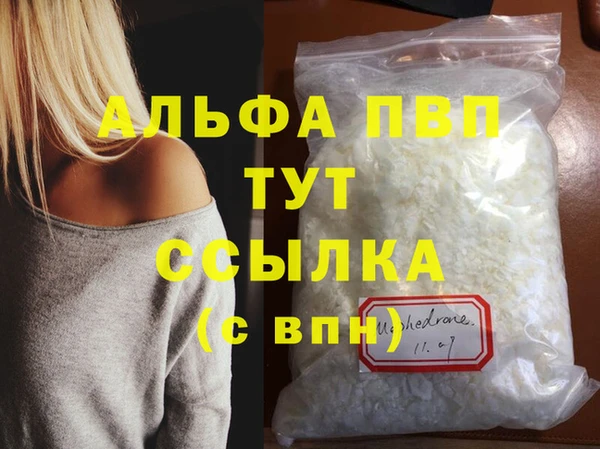 индика Козельск