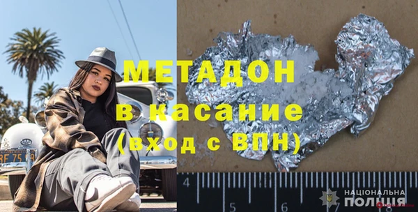 индика Козельск