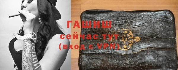 индика Козельск