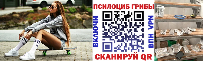 Галлюциногенные грибы мухоморы  Новая Ладога 